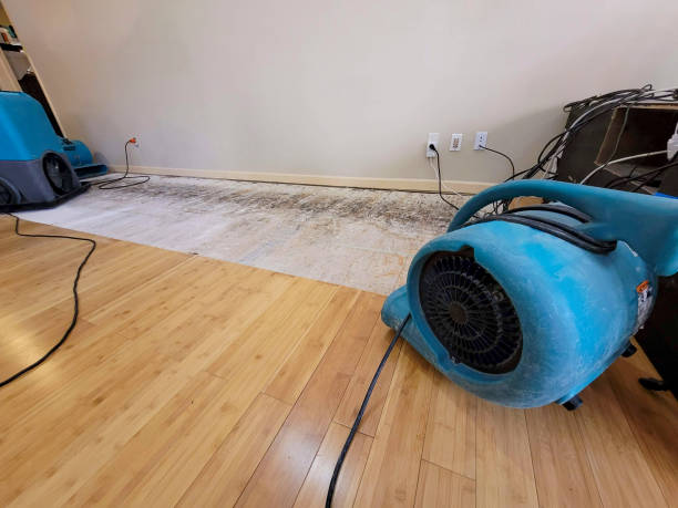 Professional Structural Drying technician working in Crivitz, WI